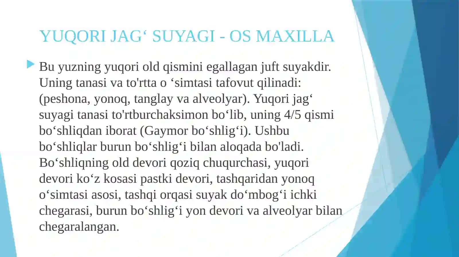 Yuqorijag’ning anatomik tuzulishi 2
