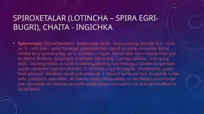 Spiroxetalar 2