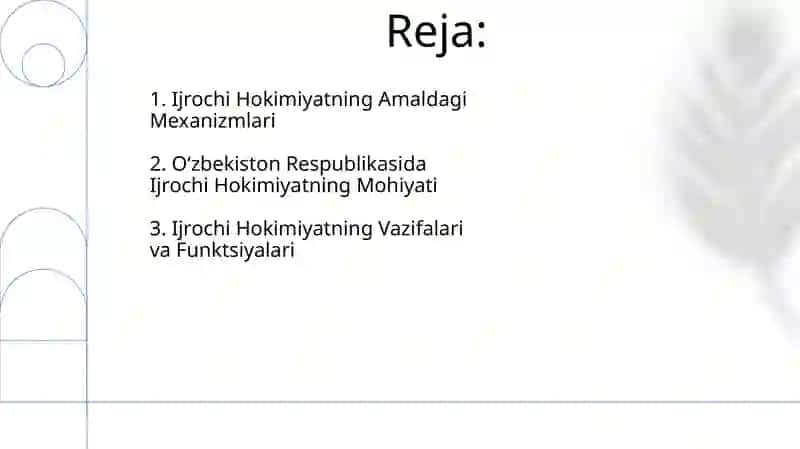Ijro hokimiyati va uning funksiyalari 2