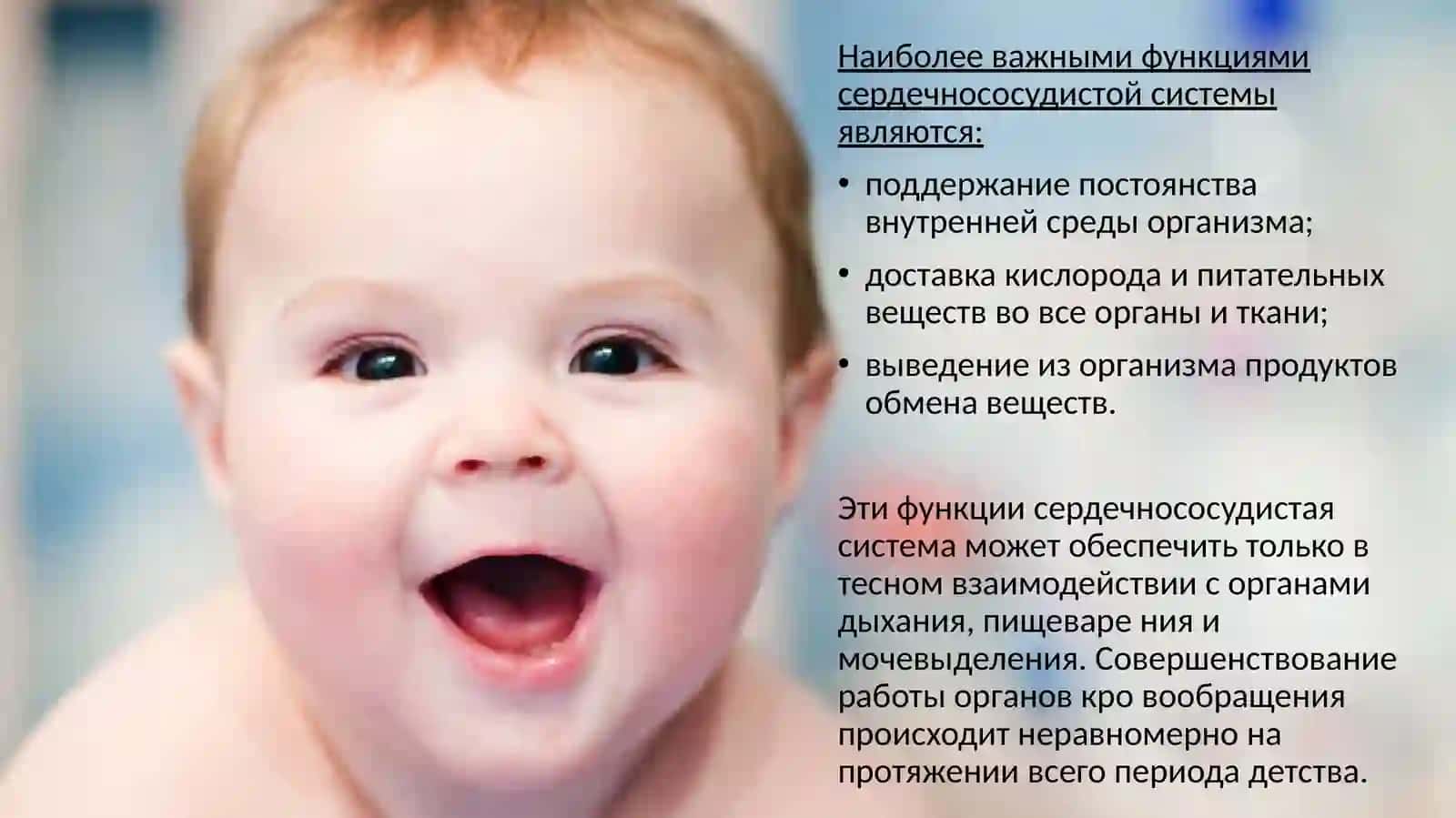 Анатомо – физиологические особенностисердечно – сосудистой системы детей 2
