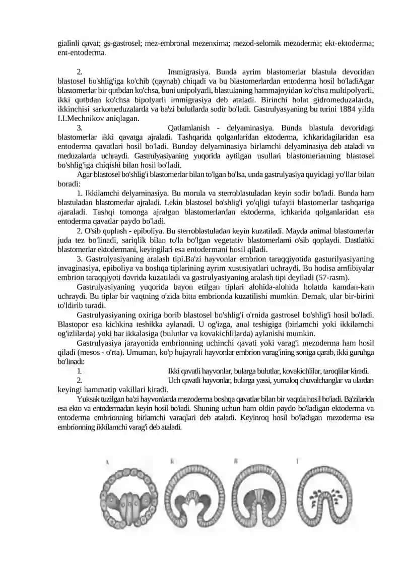 Gastrulyatsiya. Gasrulyatsiya usullari va ularni organizm taraqqiyoti darajasiga bogʻliqligi. Mezode 2