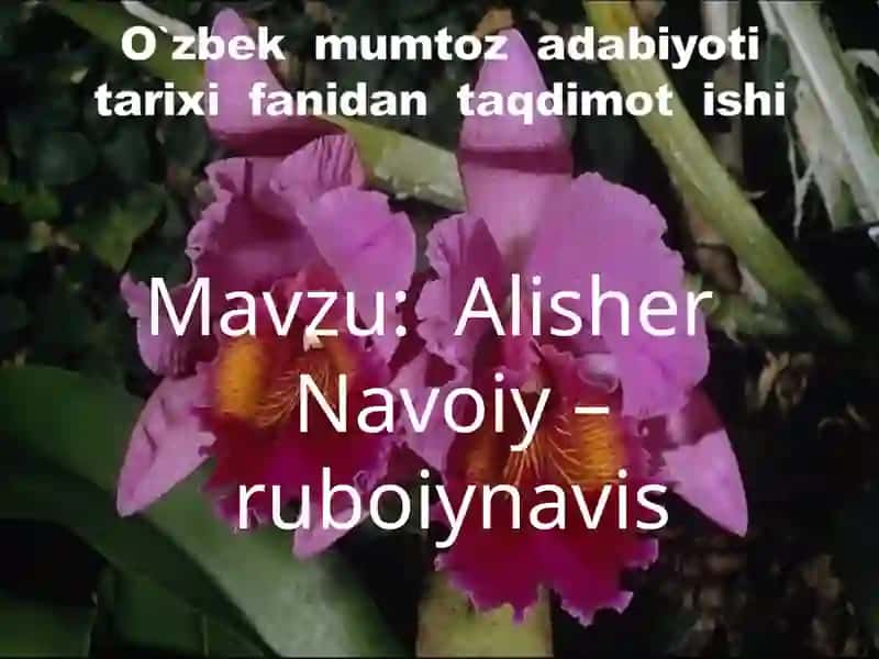 Alisher Navoiy – ruboiynavis 2