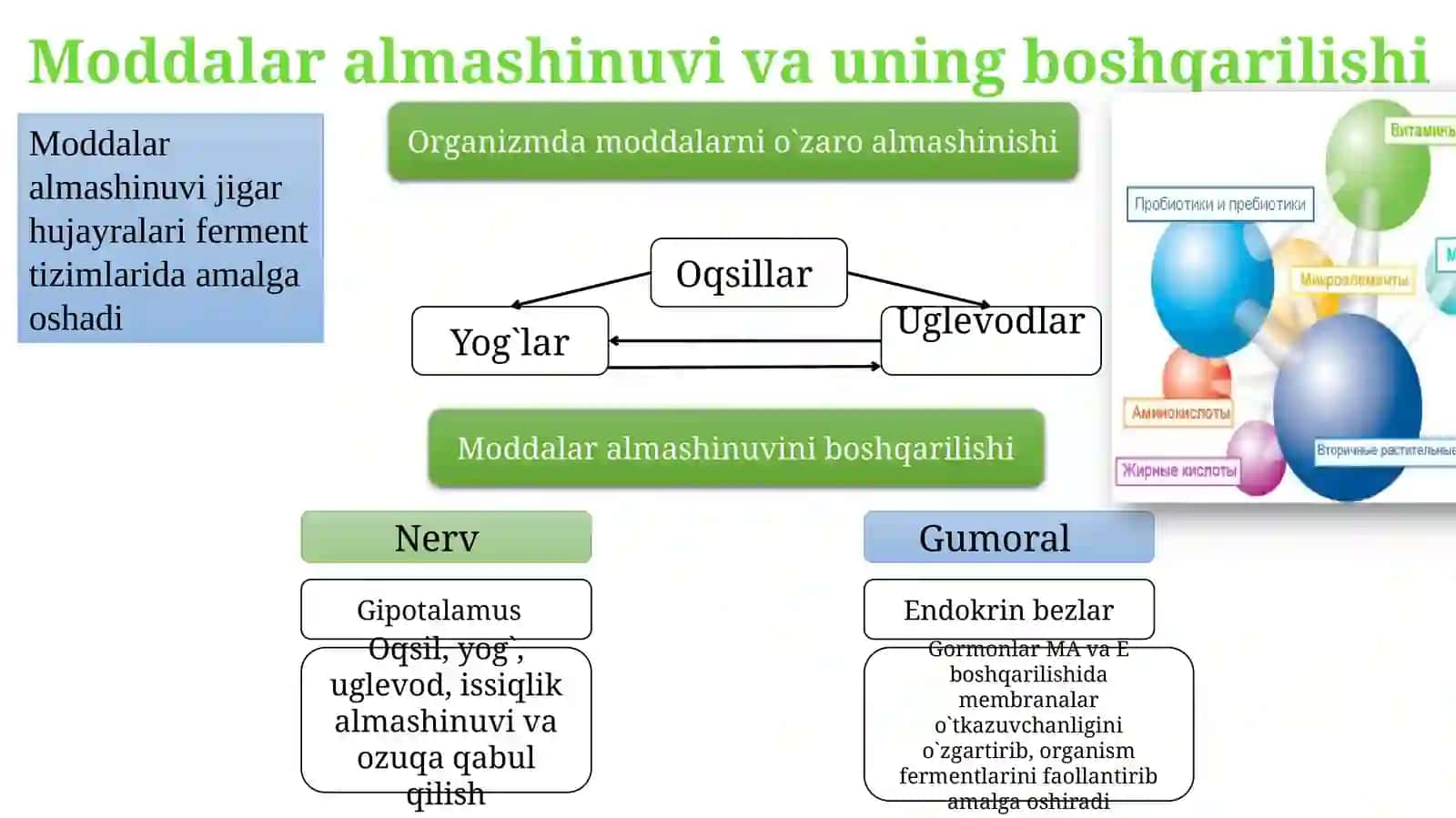 Moddalar almashinuvining boshqarilishi 2