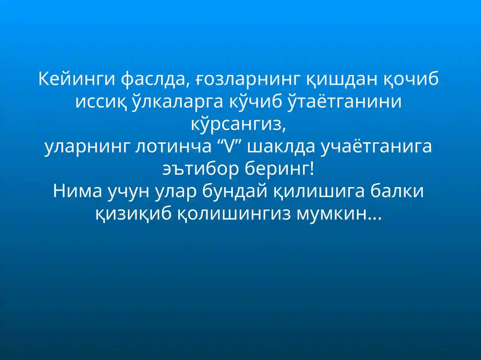 Агар дўстларимиз ва ҳамкасбларимиз билан муносабатимиз ғозлар каби бўлганда эди 2