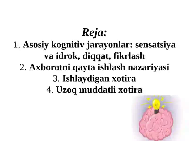 Kognitiv rivojlanish: kognitiv jarayonlar nazariyasi 2