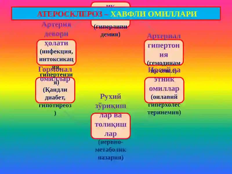 ТОМИР КАСАЛЛИКЛАРИ -АТЕРОСКЛЕРОЗ 2