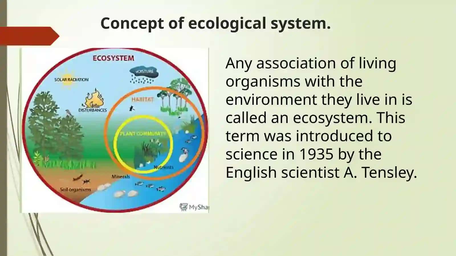 Ecology of ecosystems 2