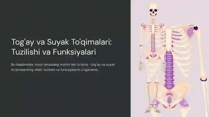 Tog'ay va Suyak To'qimalari: Tuzilishi va Funksiyalari 2