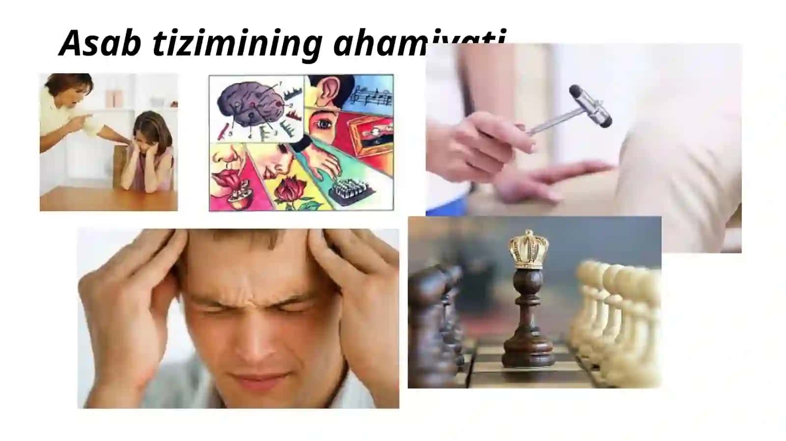 Nerv tizimining fiziologiyasi va oliy nerv faoliyatining yosh xususiyatlari 2