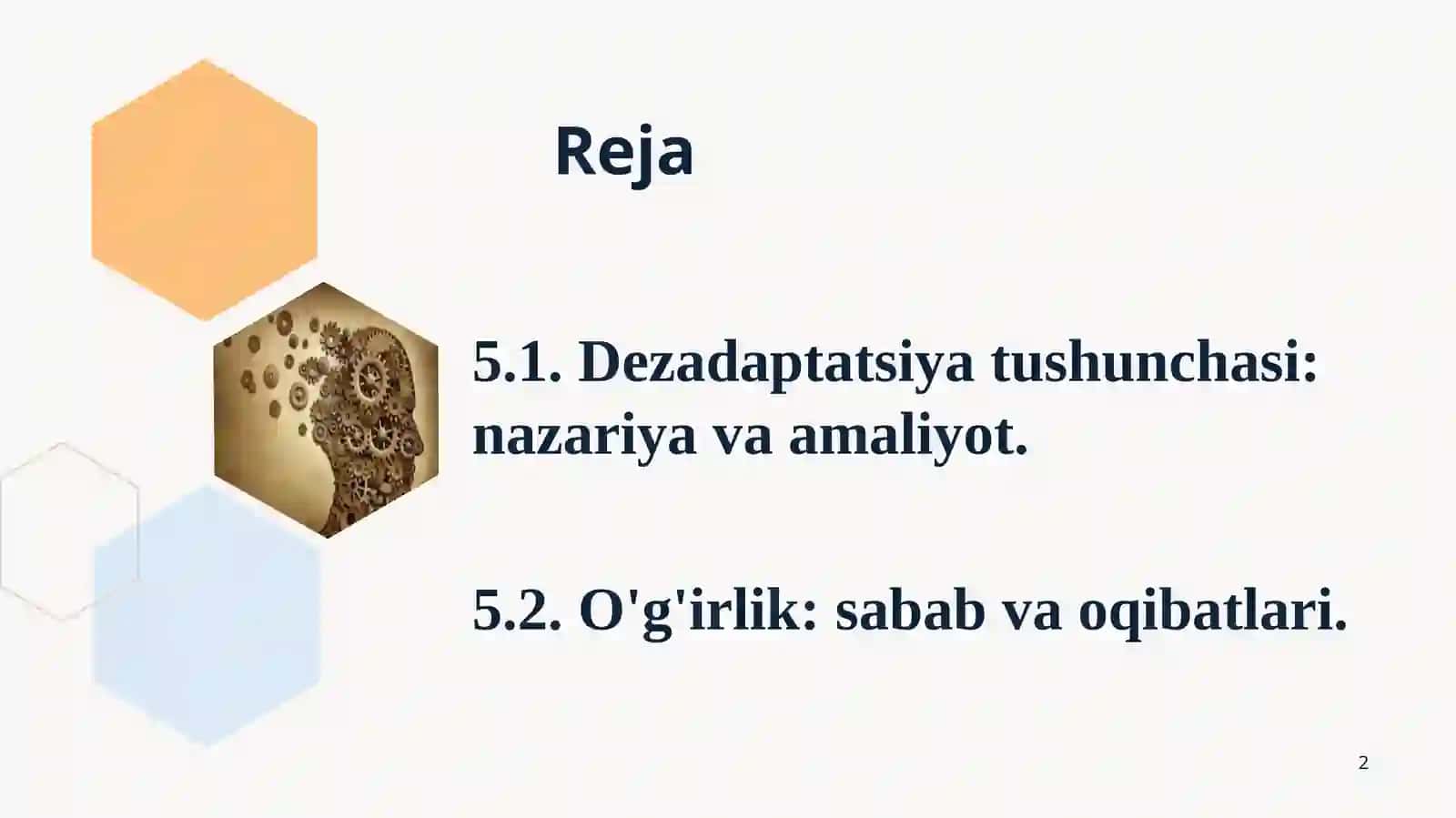 Dezadaptatsiya va uning o'smir xulqi danamoyon bo'lishi 2