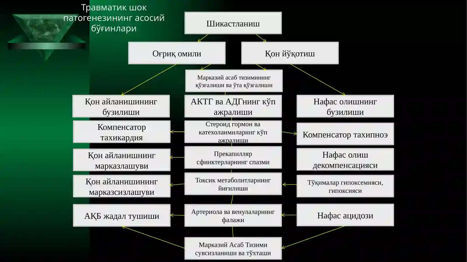 Травматик шок 2