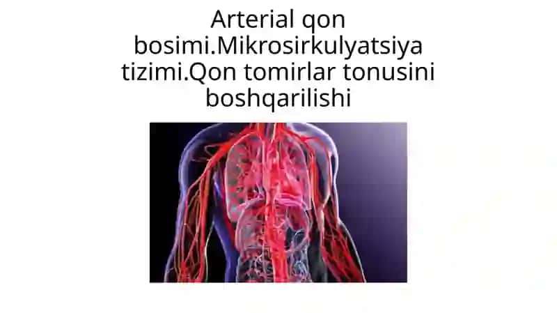 Arterial qon bosimi. Mikrosirkulyatsiya tizimi. Qon tomirlar tonusini boshqarilishi 2