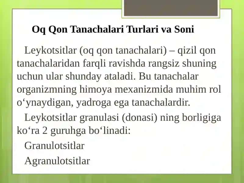 Leykotsitlar (Oq Qon Tanachalari) 2