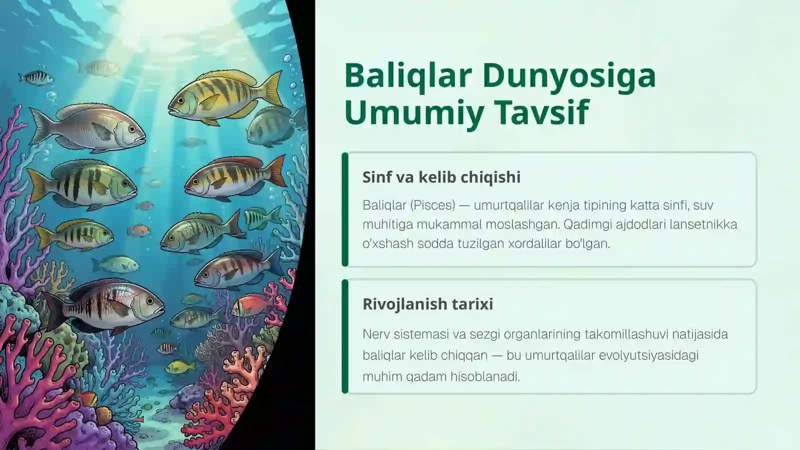 Tog'ayli Baliqlarning Individual Rivojlanishi 2
