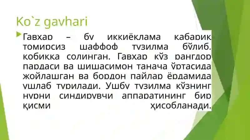 Ko`zgavhari 2