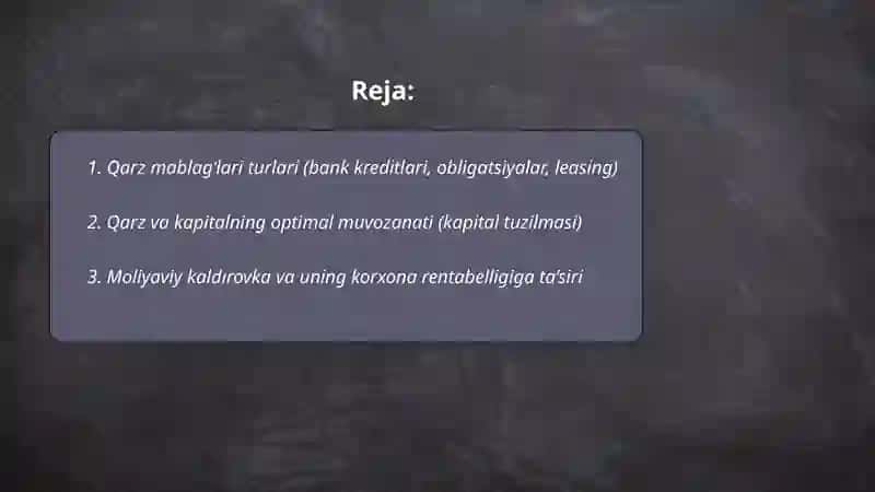 Qarz mablag'lari hisobiga moliyalashtirish 2
