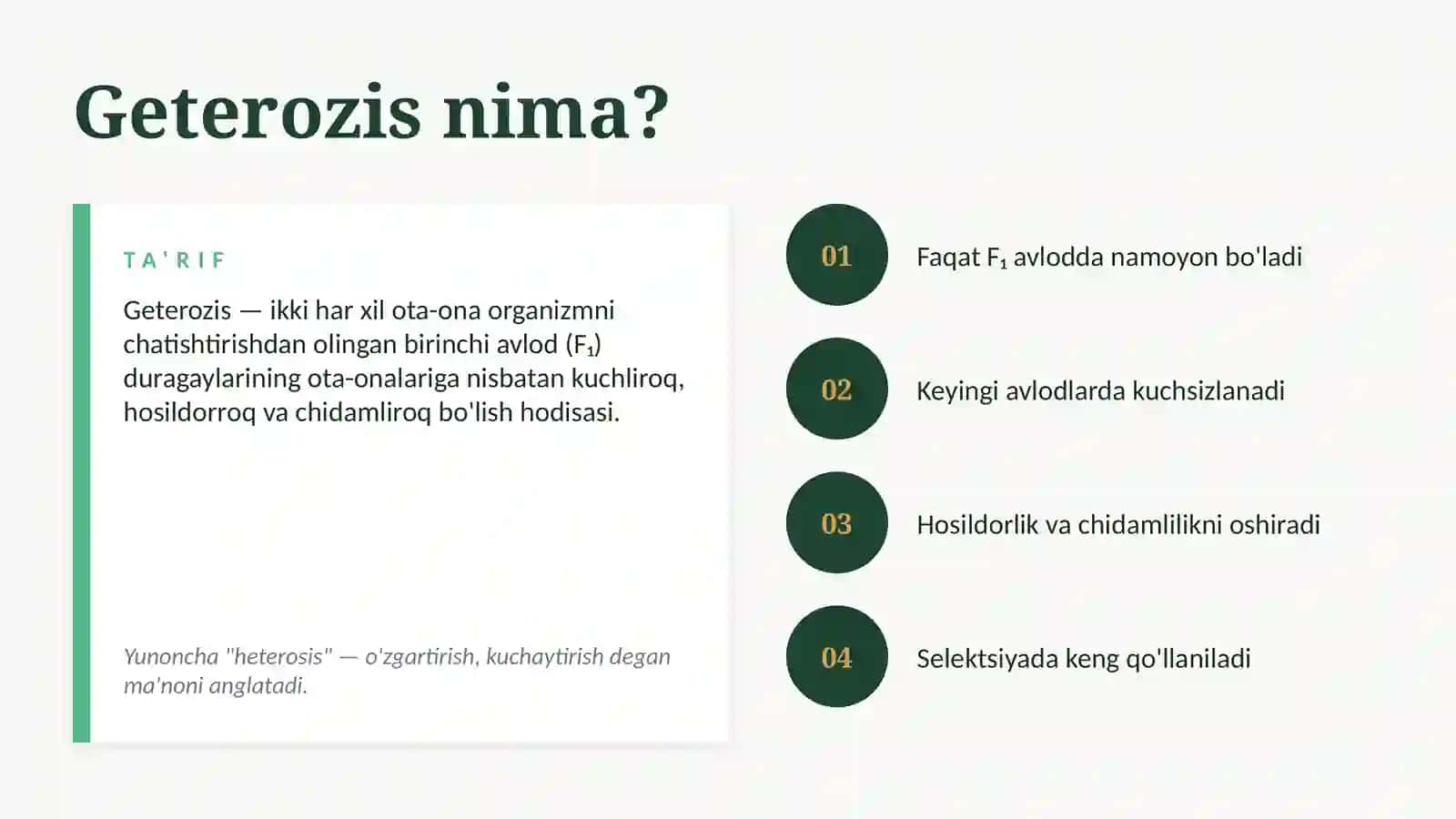 GETEROZIS 2