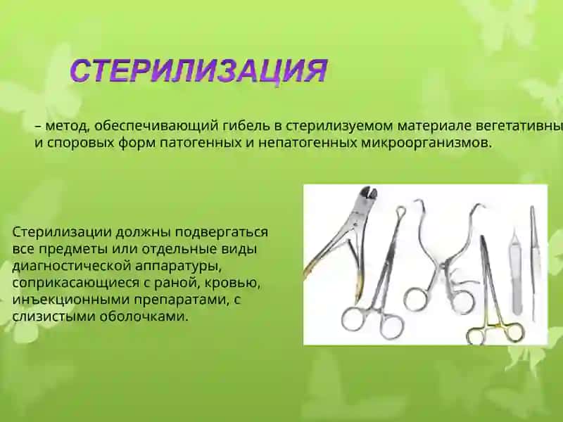 стерилизация. 2