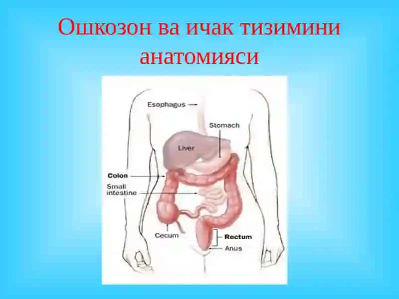 "«Ўткир ва сурун калимеъда ости бези касалликлари» маърузачит" 2