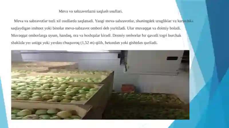 MEVAVA SABZAVOTLARNI DALADA, DOIMIY VA SOVUTGICH OMBORLARDA SAQLASHUSULLARI 2