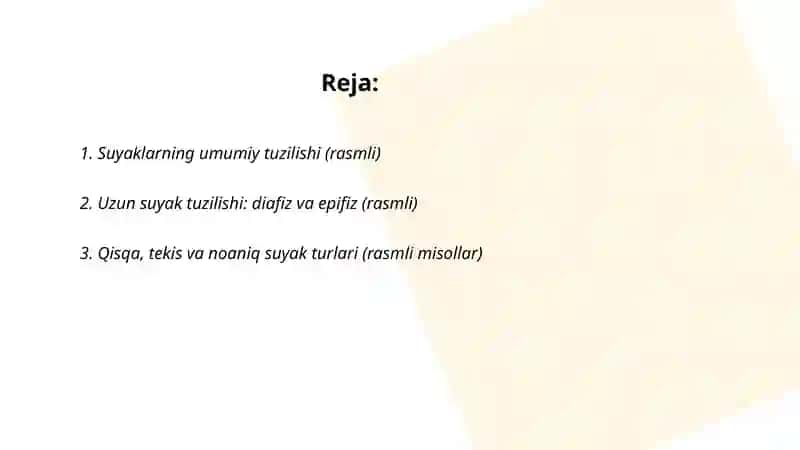 Suyaklar haqida rasimli 2