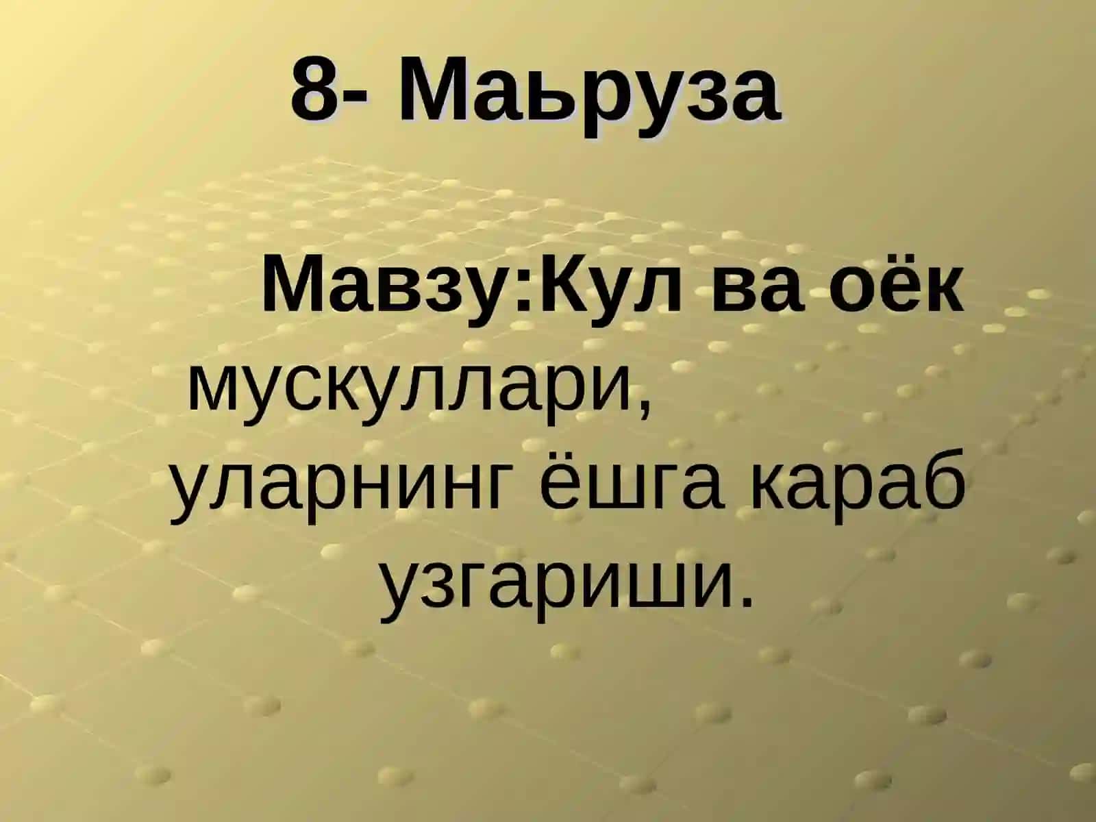 Елка камари мушаклари (Shoulder and hip muscles) 2