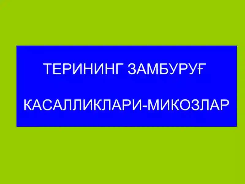 Терининг замбуруғкасалликлари-микозлар 2