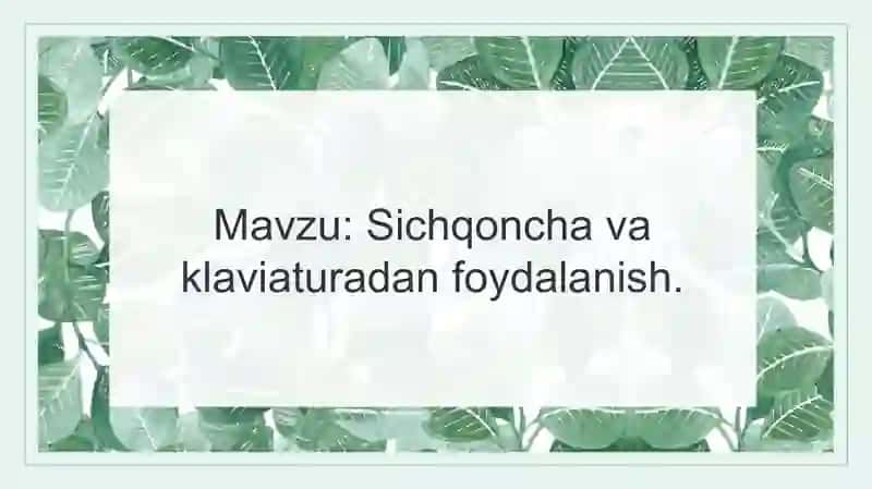 Abdurasulova Ominaxonning Matematika va Informatika Nogo'itish Metodikasi 2