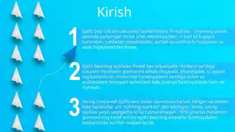 Epifizning Ultrastrukturaviy Tashkil Etilishi Va Funktsiyalari 2