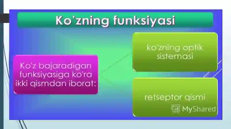 Ko‘znioptikkamera 2