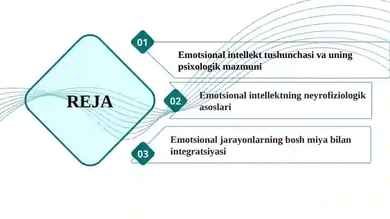 Emotsional intellektning neyrofiziologik asoslari 2