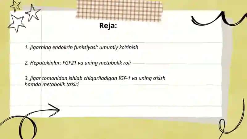 Jigar va yuraklarning endokrin faoliyati 2