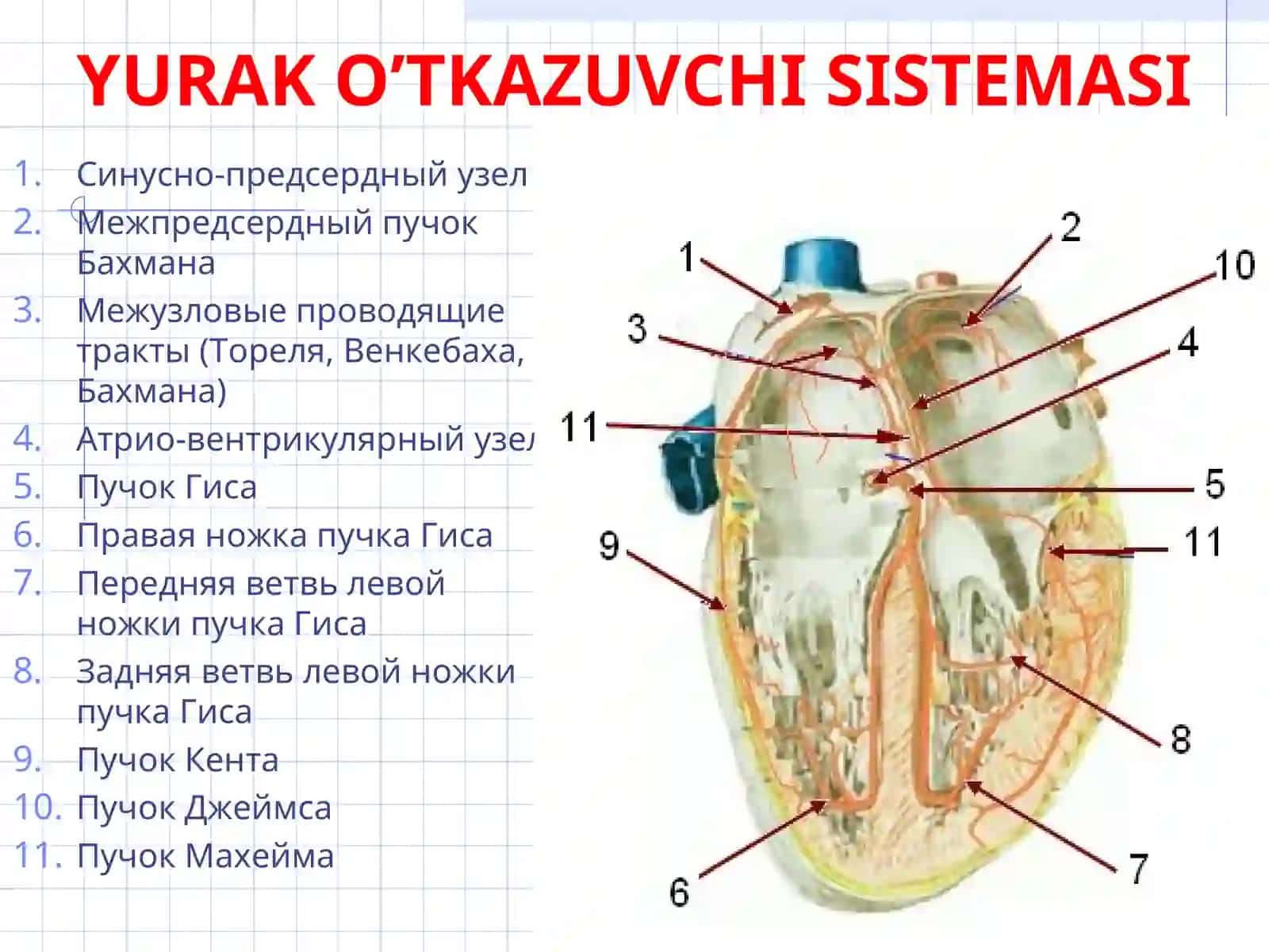 Fiziologiya, patofiziologiyava gigiyena kafedrasi 2
