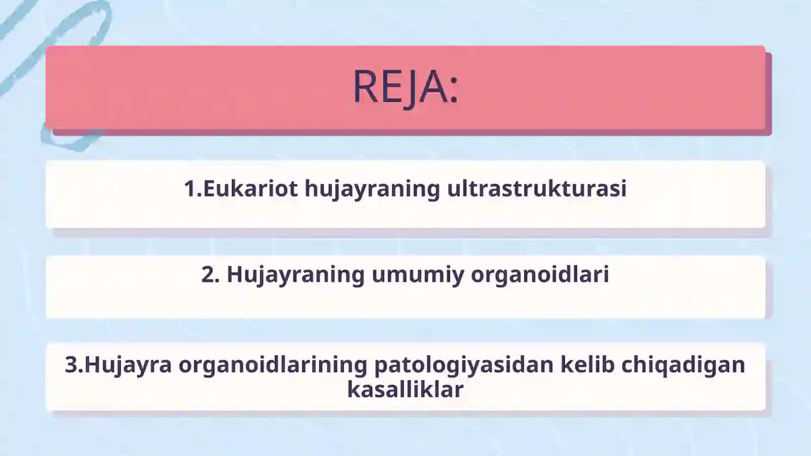 Eukariot hujayralarning ultrastrukturaviy tuzilishi. Hujayra umumiy organoidlari 2