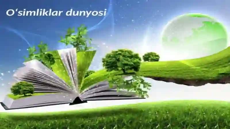 Oʻsimliklar va tirik organizmlar dunyosi 2