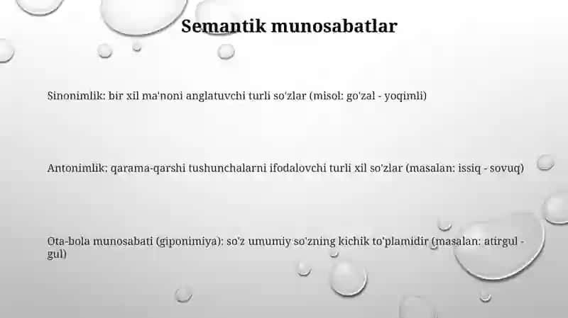 Til Birliklari Orasidagi Munosabatlar 2