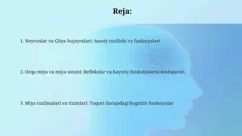 Markaziy nerf sistemasining umumiy fiziologiyasi 2