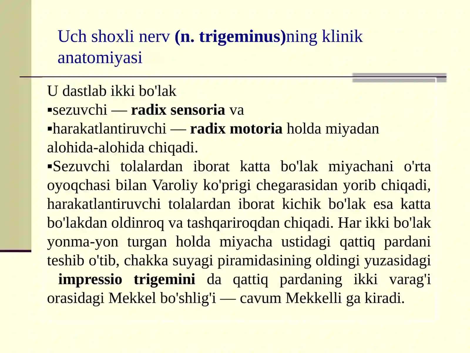 Uch shoxli nervning klinik anatomiyasi 2
