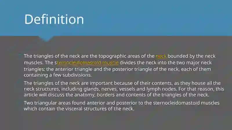 Triangles of neck anatomy 2