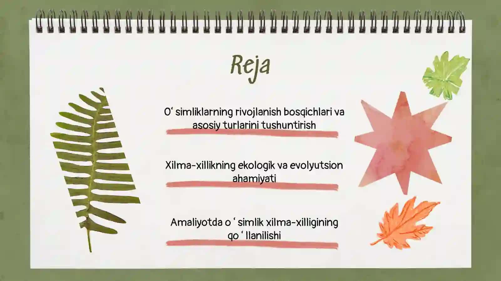 Oʻsimlik rivojlanishining xilma-xilligi 2
