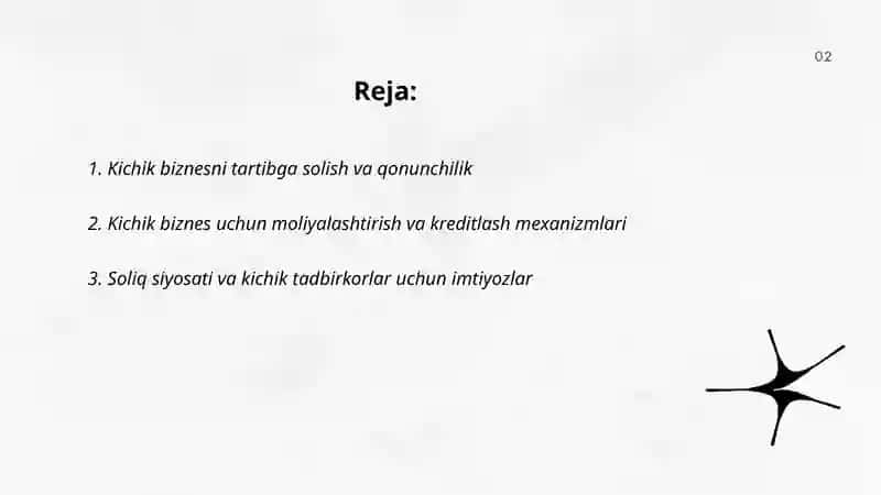 Kichik biznes va xususiy tadbirkorlik rivojlantirish masalalari 2