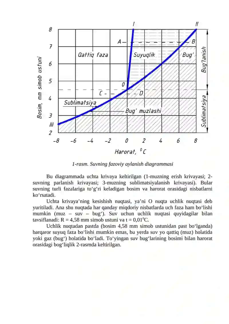 Meva va sabzavotlarning sublimatsiya usuli bilan quritish texnologiyasi 2