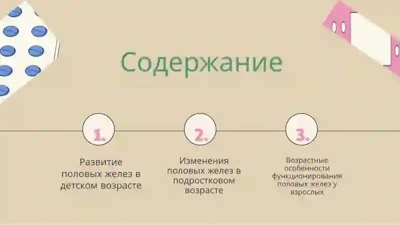 Особенности деятельности половых желез в разном возрасте 2