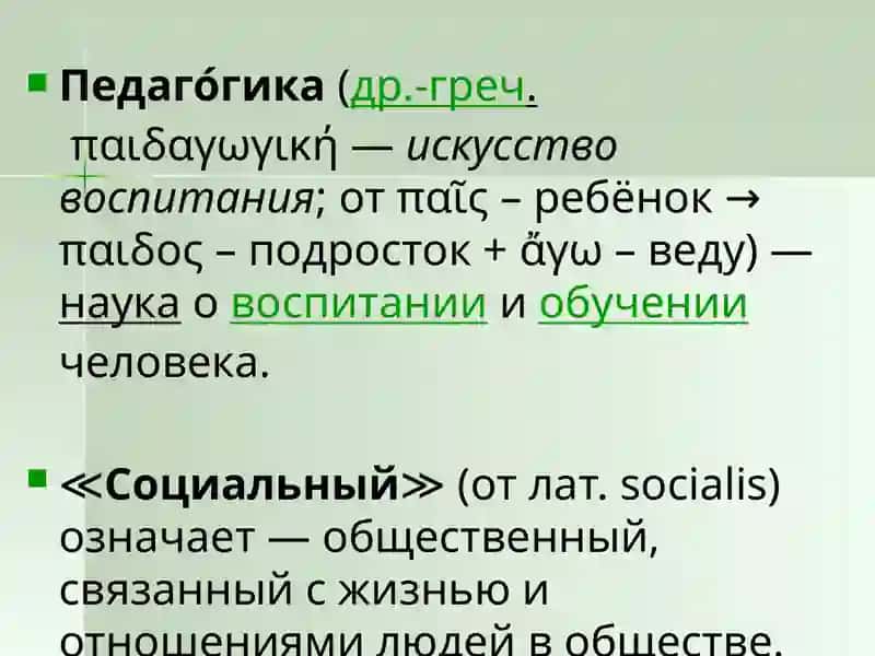 Социальная педагогика 2