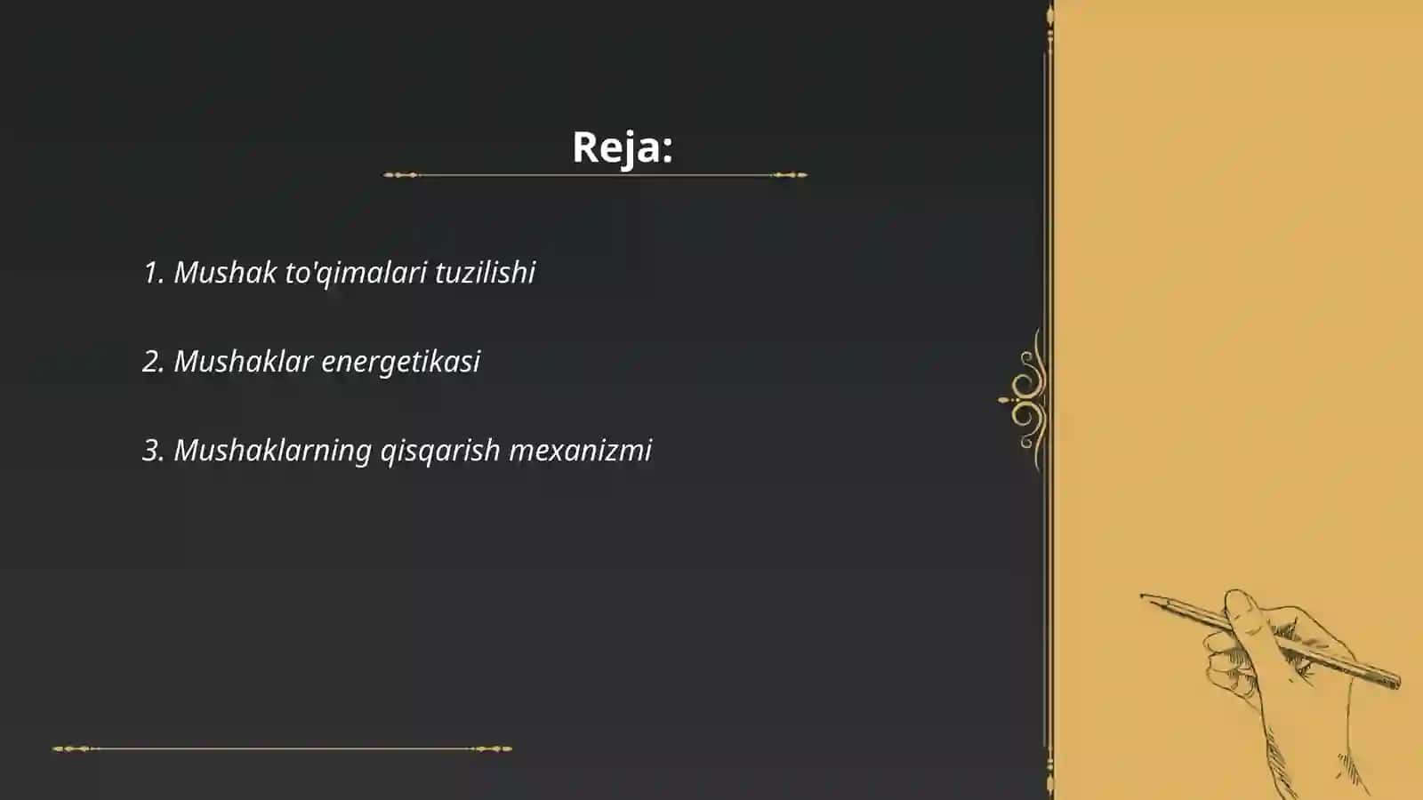 Mushaklarning ishi va biomexanikasi. Sport va jismoniy mehnatning mushaklarga tasiri 2