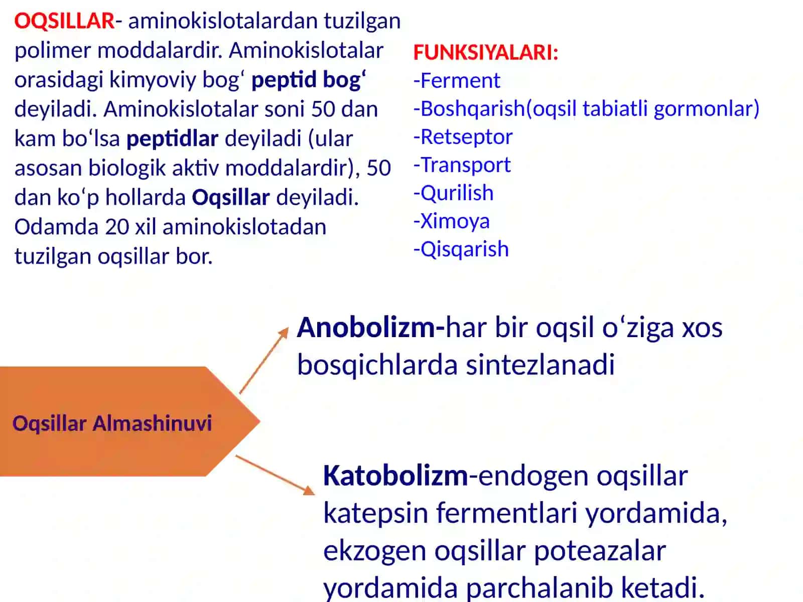 Oqsillar Almashinuvi 2