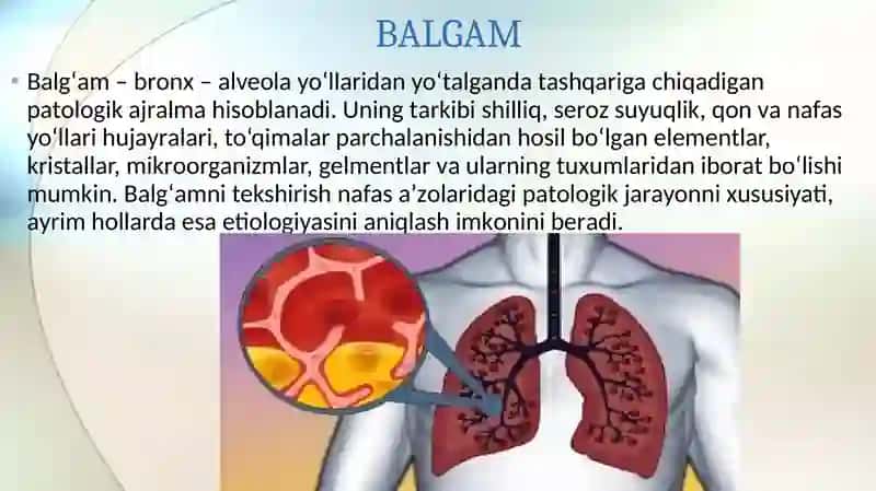 Nafas a’zolari kasalliklaridagi balg‘am va plevra suyuqligini labarator tekshiruv natijalarini interpretatsiyasi. 2
