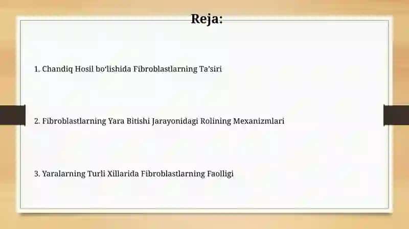 Fibroblastlarning jarohatning bitishi va chandiq xosil boʻlishidagi roli 2