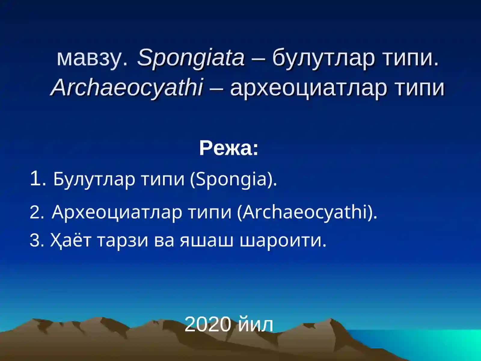 Булутлар типи (Spongia) 2