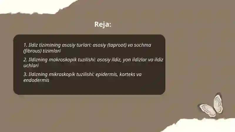 O'simliklar ildiz tizimining tiplari, tuzulishi va funksiyalari 2